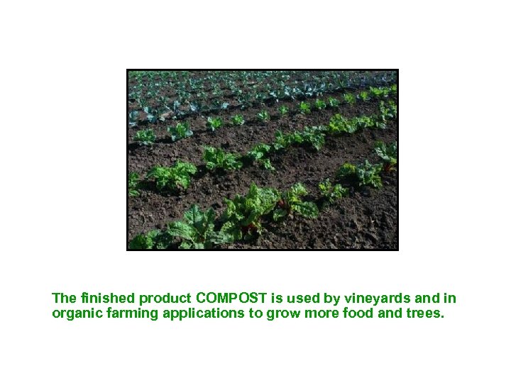 The finished product COMPOST is used by vineyards and in organic farming applications to