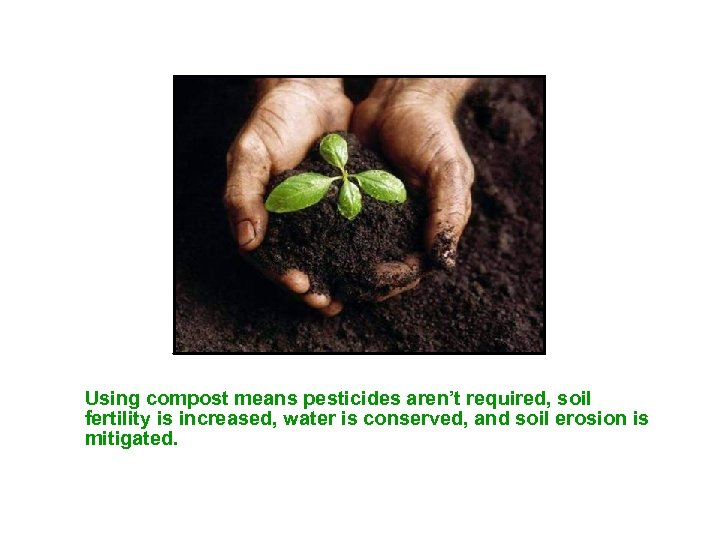 Using compost means pesticides aren’t required, soil fertility is increased, water is conserved, and