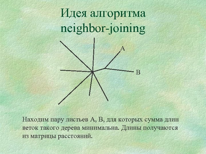 Идея алгоритма neighbor-joining A B Находим пару листьев A, B, для которых сумма длин
