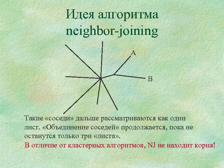 Идея алгоритма neighbor-joining A B Такие «соседи» дальше рассматриваются как один лист. «Объединение соседей»