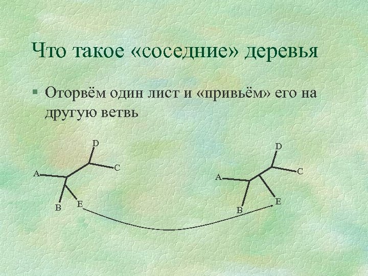 Что такое «соседние» деревья § Оторвём один лист и «привьём» его на другую ветвь
