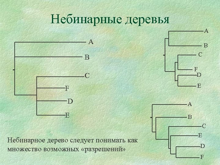 Небинарные деревья A A B C B F D C E F D E