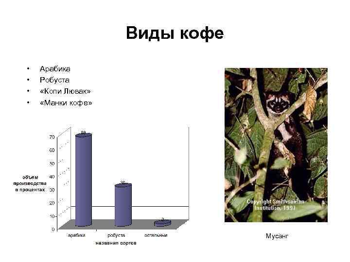 Виды кофе • • Арабика Робуста «Копи Лювак» «Манки кофе» Мусанг 