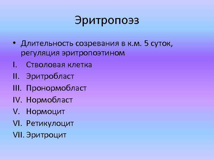 Эритропоэз • Длительность созревания в к. м. 5 суток, регуляция эритропоэтином I. Стволовая клетка