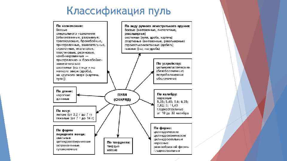 Образец для пули дуры 4 буквы