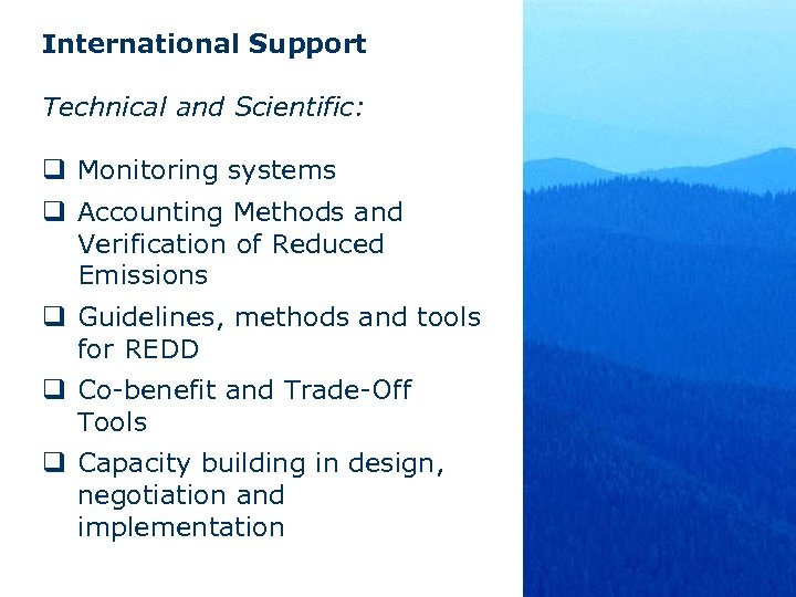 International Support Technical and Scientific: q Monitoring systems q Accounting Methods and Verification of