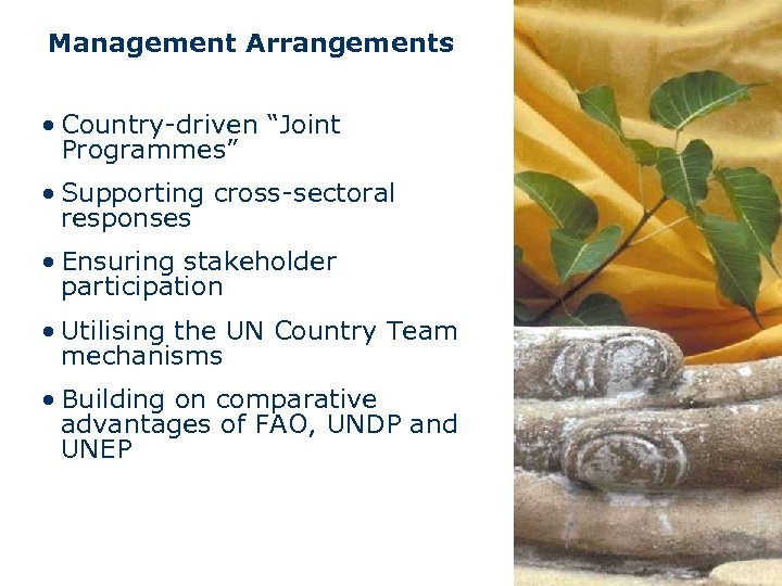 Management Arrangements • Country-driven “Joint Programmes” • Supporting cross-sectoral responses • Ensuring stakeholder participation