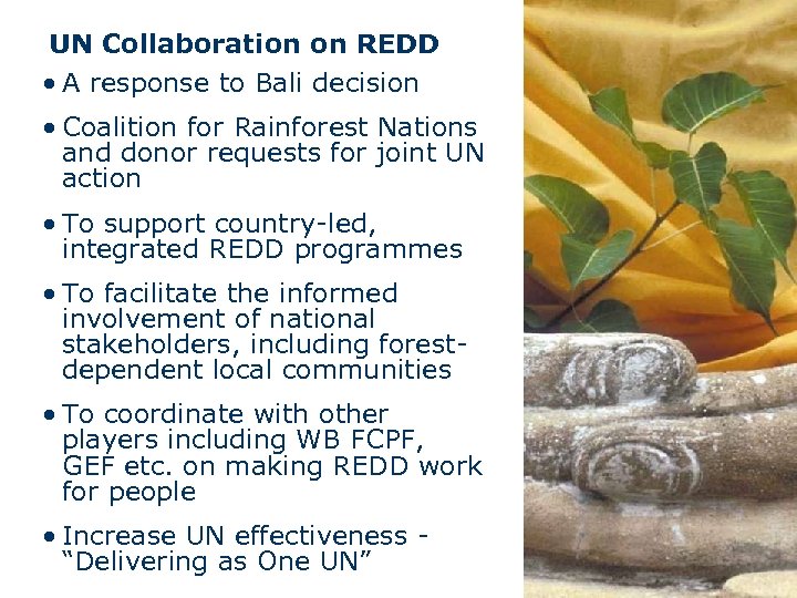 UN Collaboration on REDD • A response to Bali decision • Coalition for Rainforest