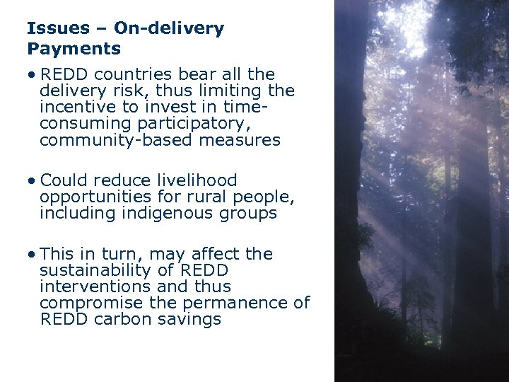 Issues – On-delivery Payments • REDD countries bear all the delivery risk, thus limiting