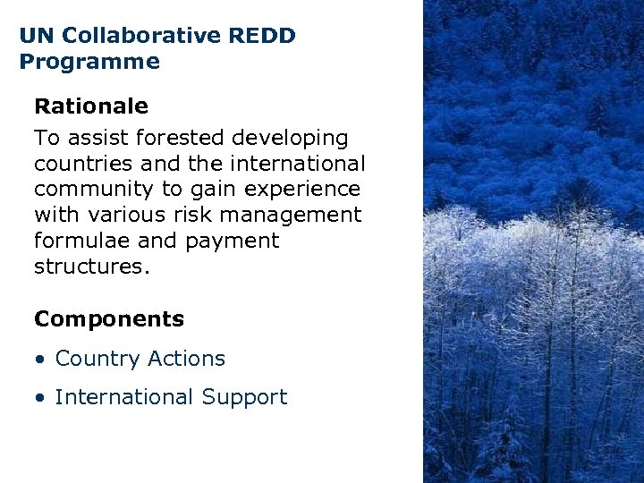 UN Collaborative REDD Programme Rationale To assist forested developing countries and the international community