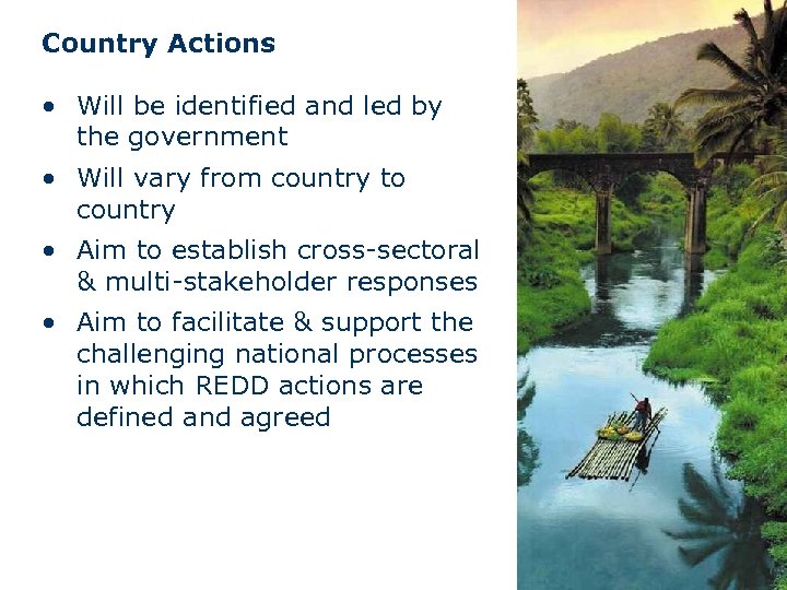 Country Actions • Will be identified and led by the government • Will vary