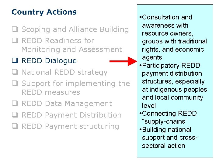 Country Actions q Scoping and Alliance Building q REDD Readiness for Monitoring and Assessment