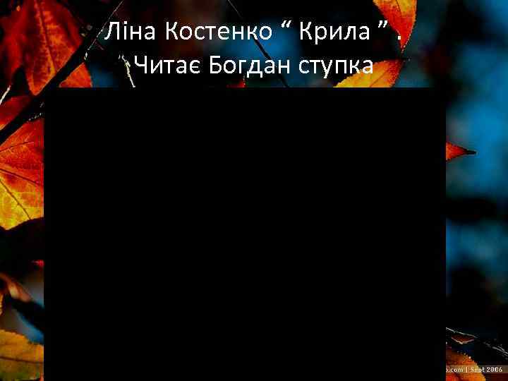 Ліна Костенко “ Крила ”. Читає Богдан ступка 