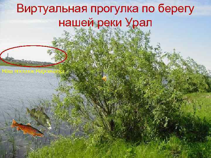 Виртуальная прогулка по берегу нашей реки Урал Наш поселок Наровчатка 
