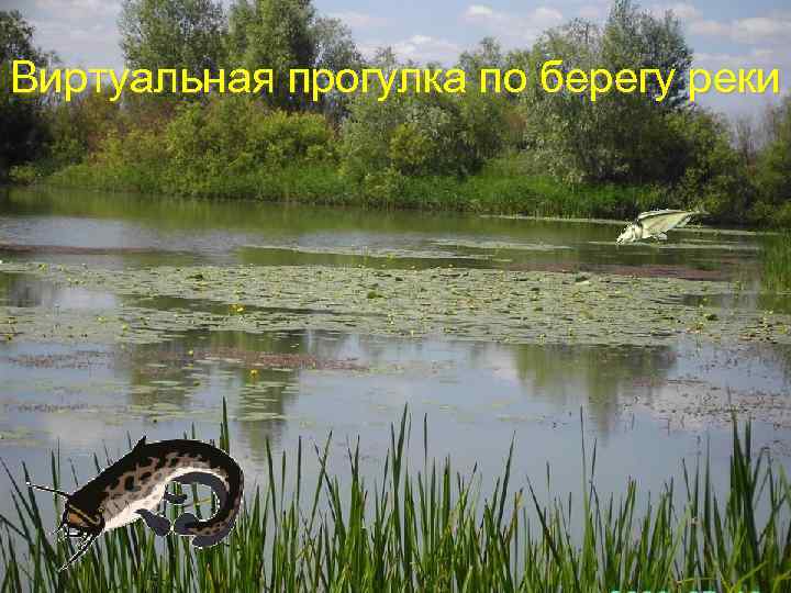 Виртуальная прогулка по берегу реки 
