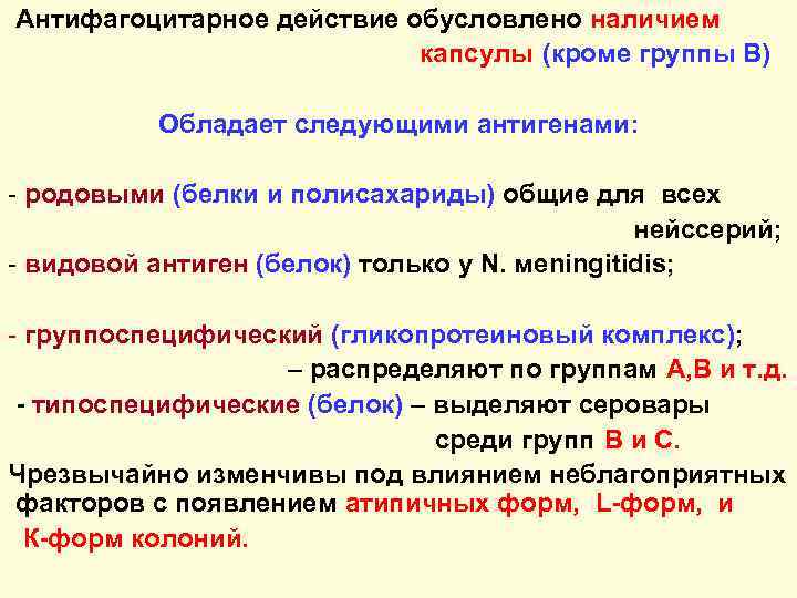 Антифагоцитарное действие обусловлено наличием капсулы (кроме группы В) Обладает следующими антигенами: - родовыми (белки