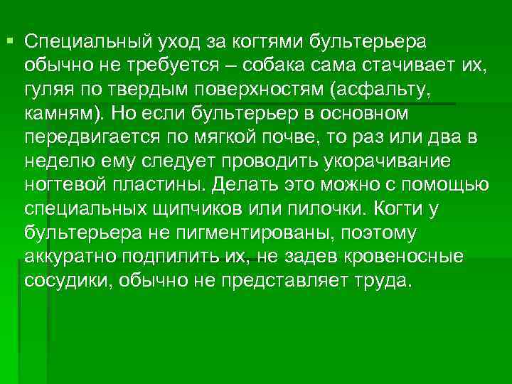 § Специальный уход за когтями бультерьера обычно не требуется – собака сама стачивает их,