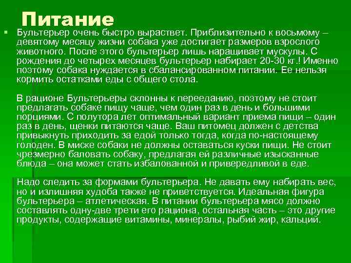 § Питание Бультерьер очень быстро выраствет. Приблизительно к восьмому – девятому месяцу жизни собака