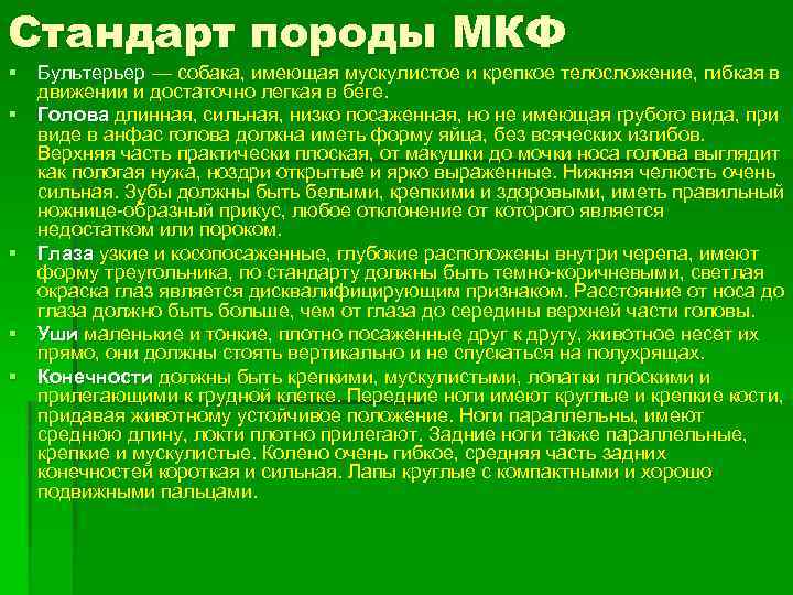 Стандарт породы МКФ § Бультерьер — собака, имеющая мускулистое и крепкое телосложение, гибкая в