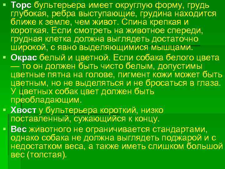 § Торс бультерьера имеет округлую форму, грудь глубокая, ребра выступающие, грудина находится ближе к