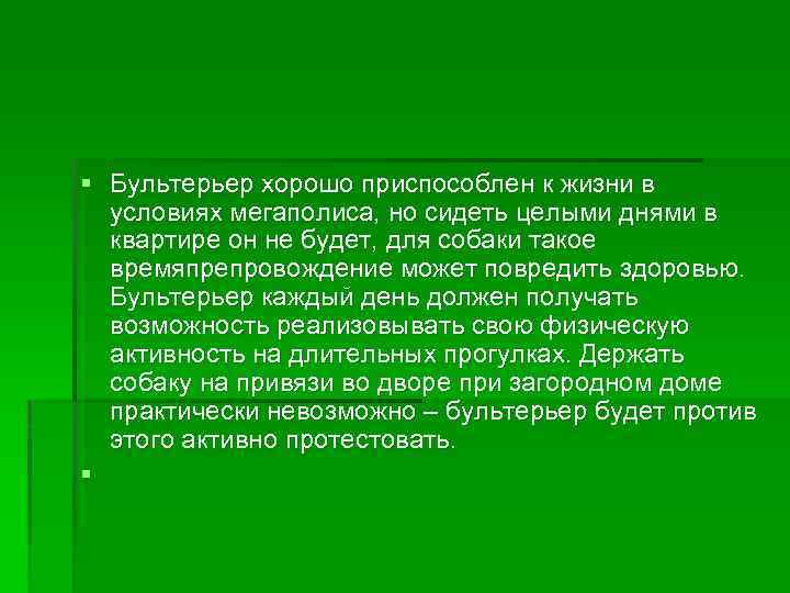 § Бультерьер хорошо приспособлен к жизни в условиях мегаполиса, но сидеть целыми днями в