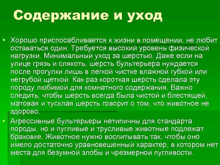 Содержание и уход § Хорошо приспосабливается к жизни в помещении, не любит оставаться один.