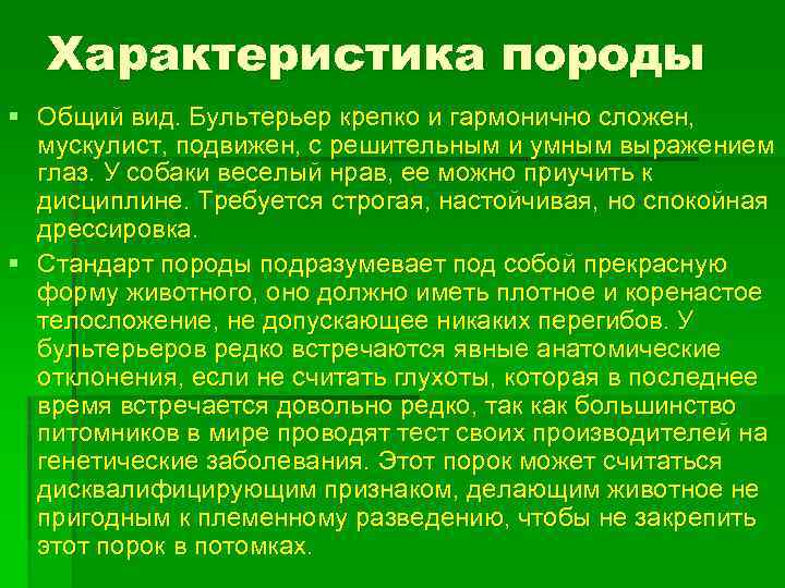 Характеристика породы § Общий вид. Бультерьер крепко и гармонично сложен, мускулист, подвижен, с решительным