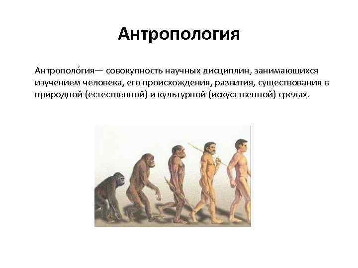 Антропология Антрополо гия— совокупность научных дисциплин, занимающихся изучением человека, его происхождения, развития, существования в