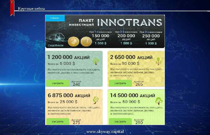 Крупные кейсы www. skyway. capital 