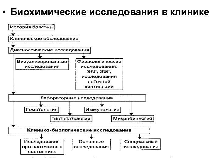 Этапы биохимического исследования. Этапы биохимического исследования в клинике. Основные этапы проведения биохимических исследований. Этапы лабораторного исследования биохимия.