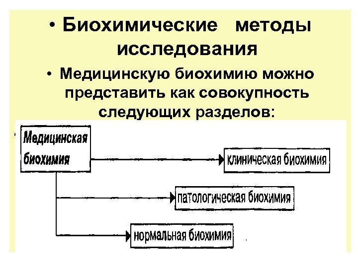 Биохимический метод исследования