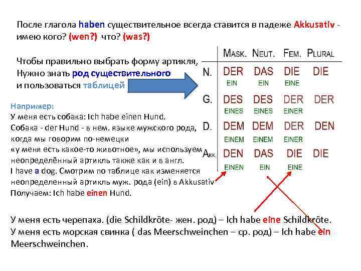 После глагола haben существительное всегда ставится в падеже Akkusativ - имею кого? (wen? )