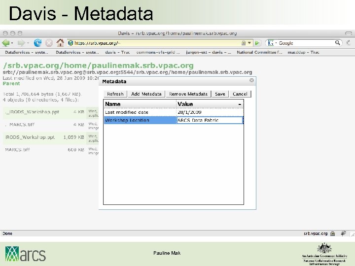 Davis - Metadata Pauline Mak 
