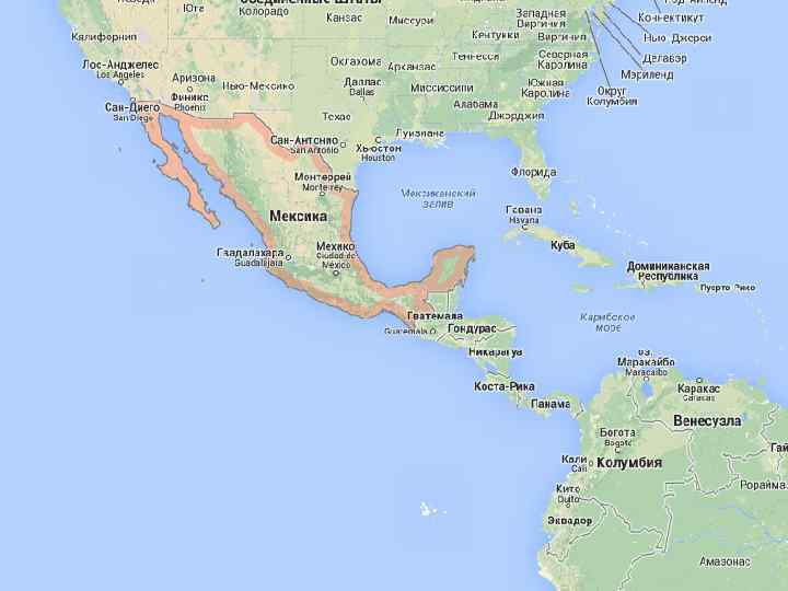 Некоммерческое партнерство «Национальный Союз Студентов-Медиков» Medical Students Worldwide 34 14/02/2018 