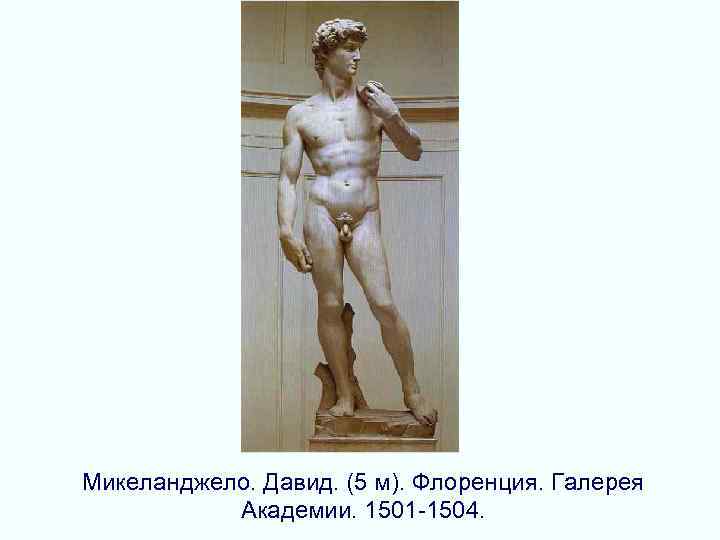 Микеланджело. Давид. (5 м). Флоренция. Галерея Академии. 1501 -1504. 