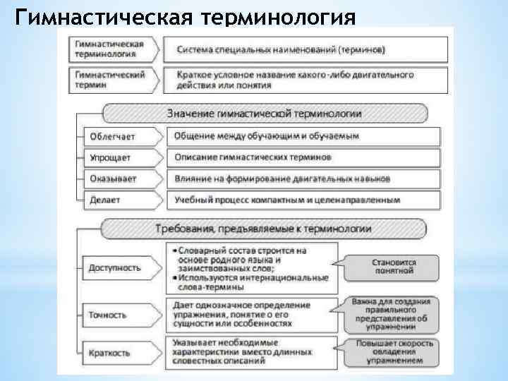 Гимнастическая терминология 