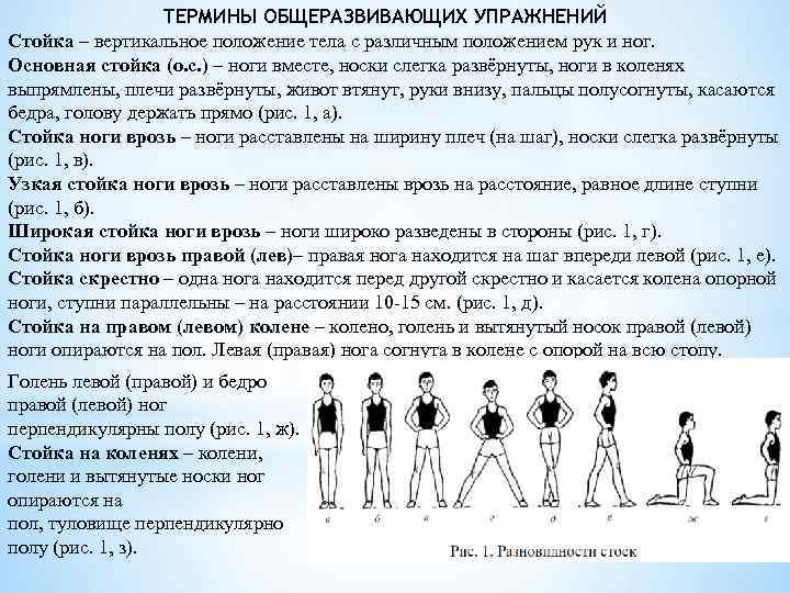 ТЕРМИНЫ ОБЩЕРАЗВИВАЮЩИХ УПРАЖНЕНИЙ Стойка – вертикальное положение тела с различным положением рук и ног.