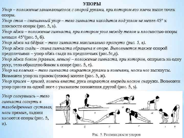 УПОРЫ Упор – положение занимающегося с опорой руками, при котором его плечи выше точек