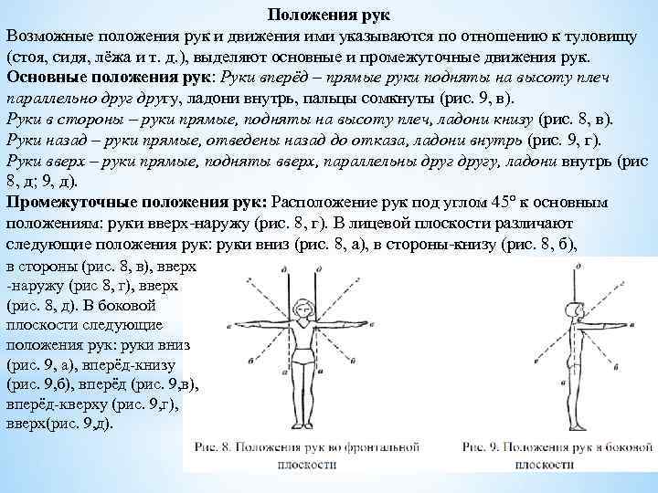 Положения рук Возможные положения рук и движения ими указываются по отношению к туловищу (стоя,