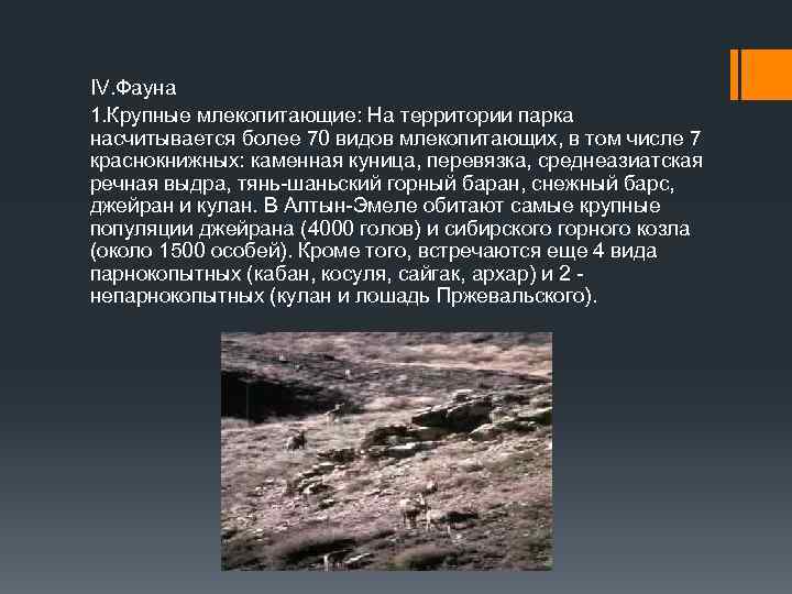 IV. Фауна 1. Крупные млекопитающие: На территории парка насчитывается более 70 видов млекопитающих, в