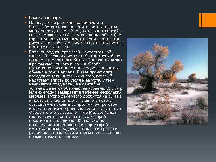 § География парка. § На подгорной равнине правобережья Капчагайского водохранилища возвышается множество курганов. Это