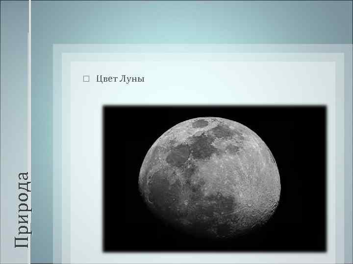 Природа Цвет Луны 