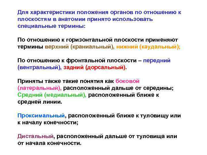 Дайте определение понятию анатомия. Анатомия понятие. Анатомия термины. Пространственные отношения в анатомической терминологии. Термины применяемые в анатомии.