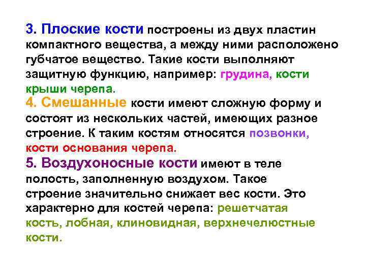3. Плоские кости построены из двух пластин компактного вещества, а между ними расположено губчатое