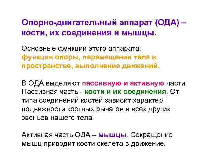Опорно-двигательный аппарат (ОДА) – кости, их соединения и мышцы. Основные функции этого аппарата: функция