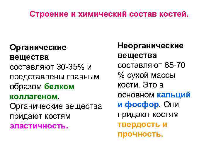 Каков химический состав костей биология 8 класс