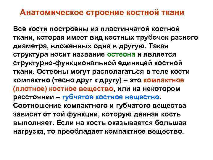 Анатомическое строение костной ткани Все кости построены из пластинчатой костной ткани, которая имеет вид