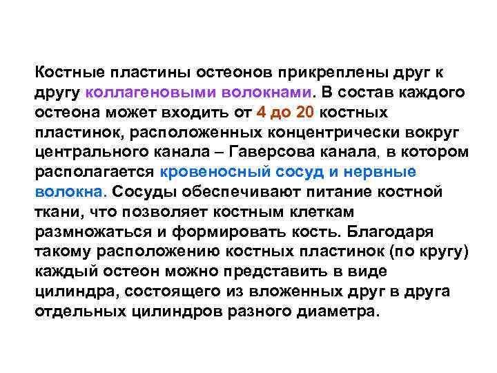 Костные пластины остеонов прикреплены друг к другу коллагеновыми волокнами. В состав каждого остеона может