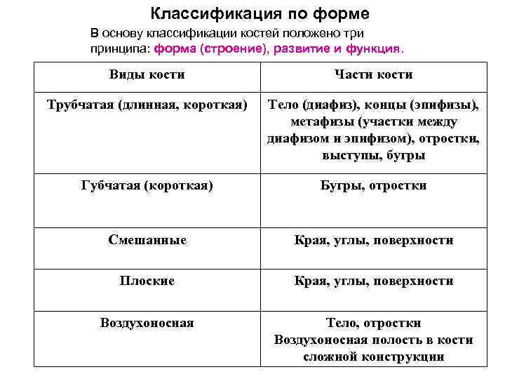 Классификация по форме В основу классификации костей положено три принципа: форма (строение), развитие и