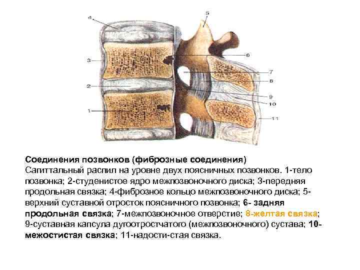 Что такое внутризоновые соединения на домашнем телефоне